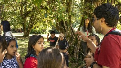 Niñas, niños y jóvenes experimentan con arte y ciencia en Cecrea Valdivia