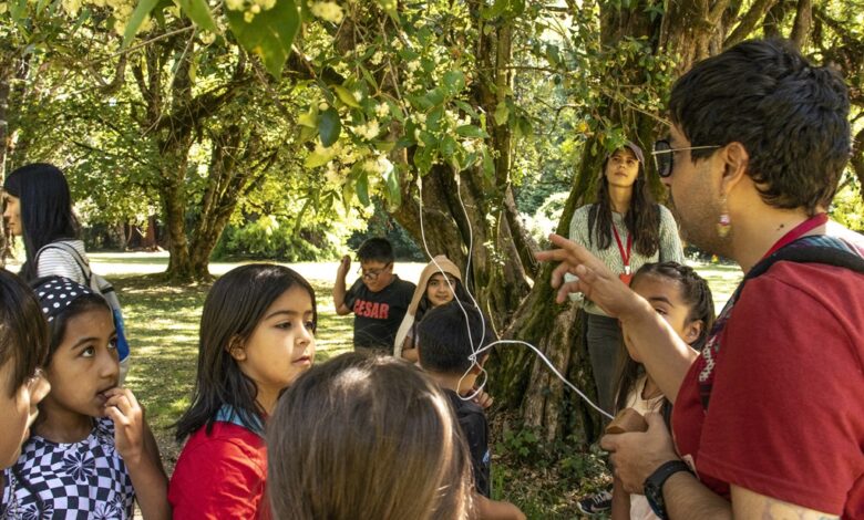 Niñas, niños y jóvenes experimentan con arte y ciencia en Cecrea Valdivia