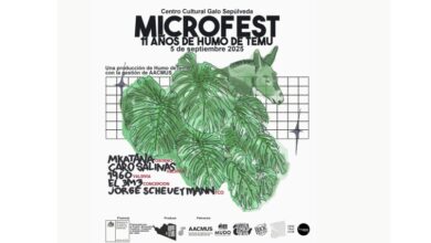 Sello Humo de Temu Celebra 11 Años con Festival "Microfest"