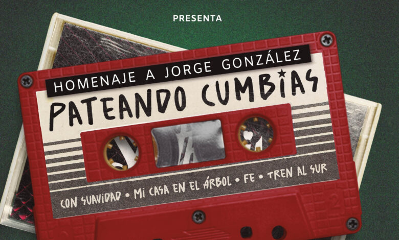 VINILO SANTA FERIA